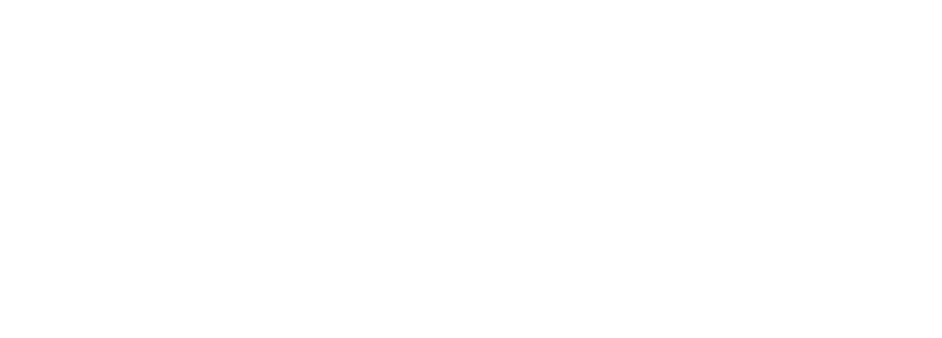 sterylart Logo